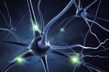 NeuroOptimized Advertising Creative proved to Sell More