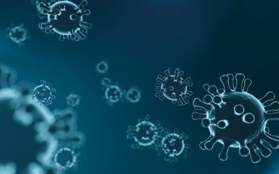 Odgovorno ponašanje u doba epidemije koronavirusa – glavni fokus Hrvata
