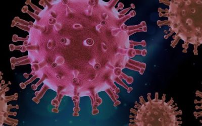 Hrvati i Slovenci najpozitivniji u regiji glede razvoja situacije s epidemijom koronavirusa